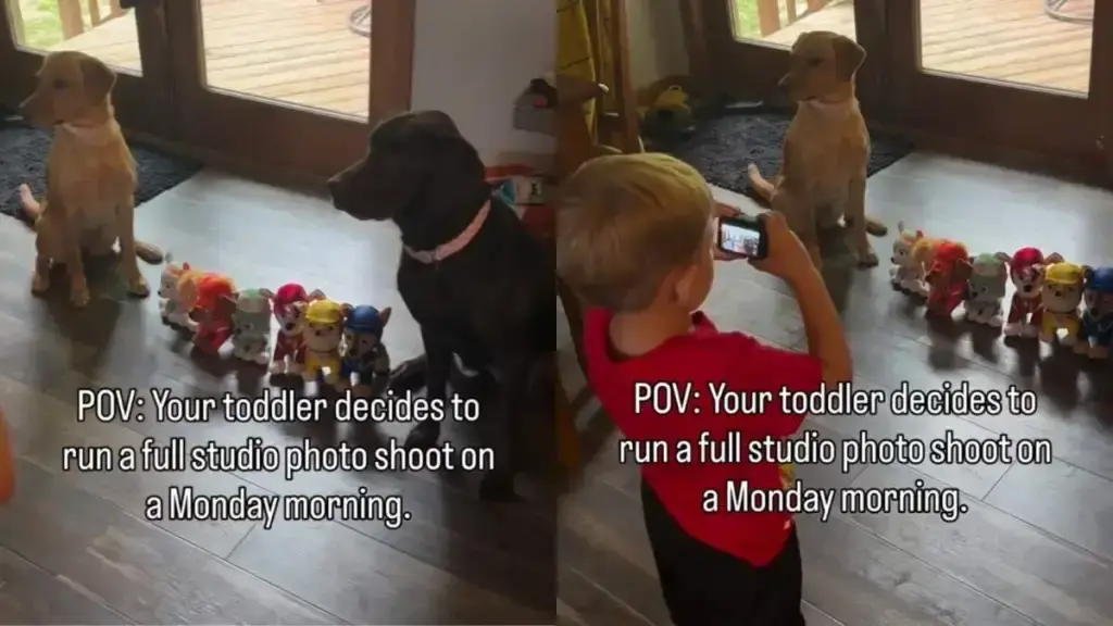A Heartwarming Bond: Dogs Understand Toddler's Unique Language