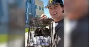 Beloved Cat Rescued After Apartment Fire
