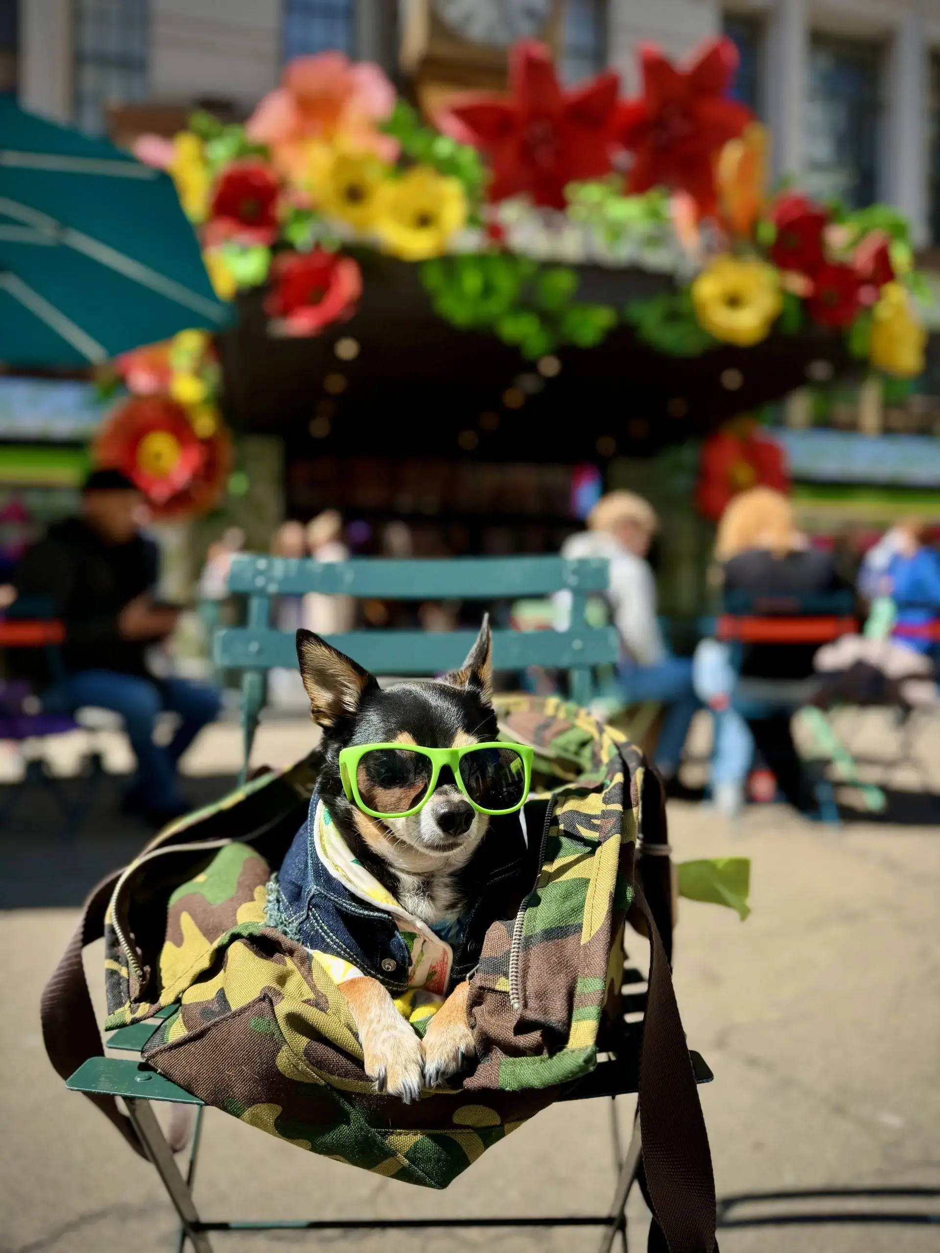 Building a Life Together: Embracing Pet Ownership Fully