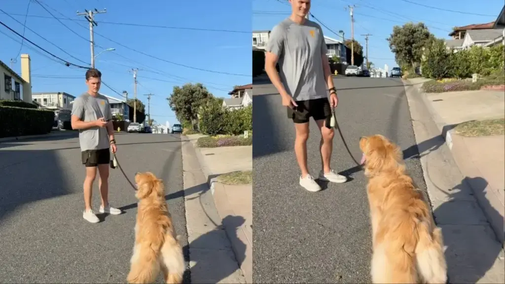 Dog Proves Loyalty to Owner in Viral Test