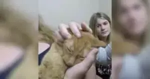 Family's Beloved Cat Miraculously Survives Apartment Fire