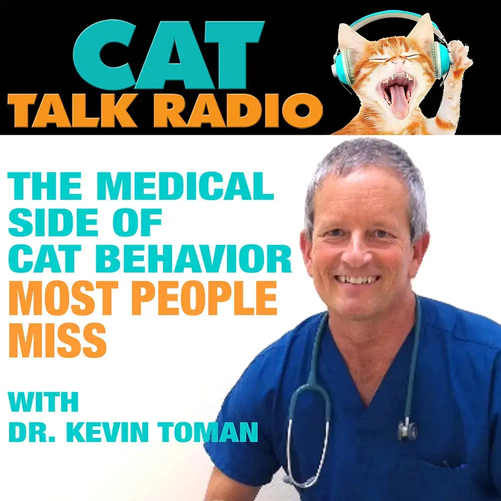 Feline Behavior: More Than Just Attitude?