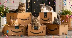 Feline Frenzy: Amazon Pet Days 2026 Launches with Unbeatable Cat Deals