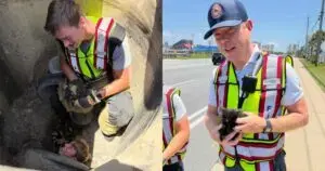 Fire Captain's Heart Melted by Rescued Kitten