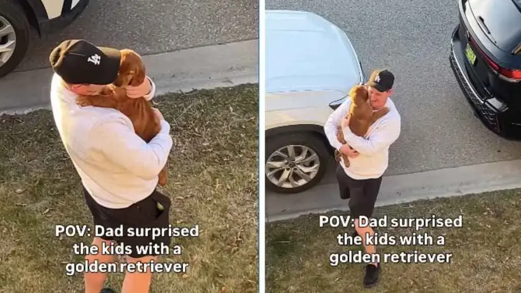 Golden Retriever Surprise Sends Kids Into Joyful Meltdown