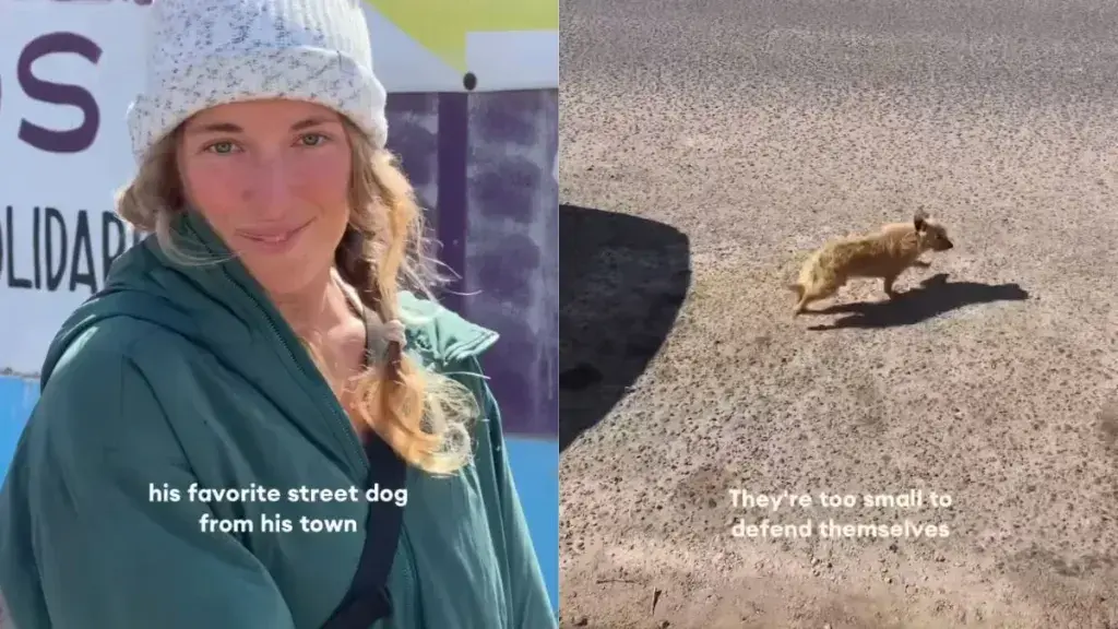 Local Man Rescues Abandoned Street Dog in Mexico