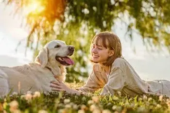 Loyal Canine Companions Through the Ages