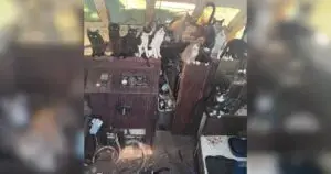 Over Thirty Cats Rescued from Abandoned Vessel Near Owen Beach