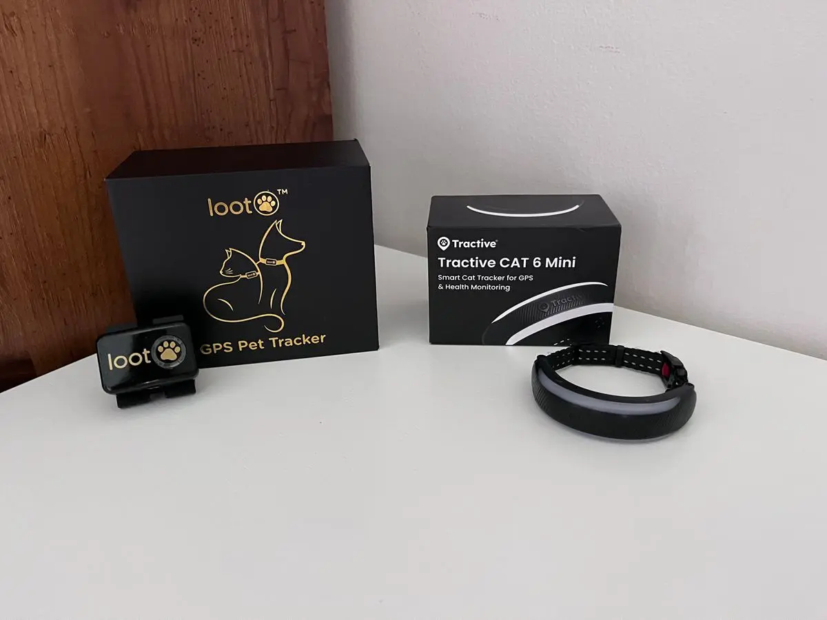 Keeping Tabs on Wandering Felines: A Comparison of GPS Tracking Technology