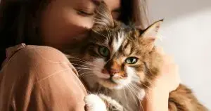 A Global Calendar for Feline Appreciation