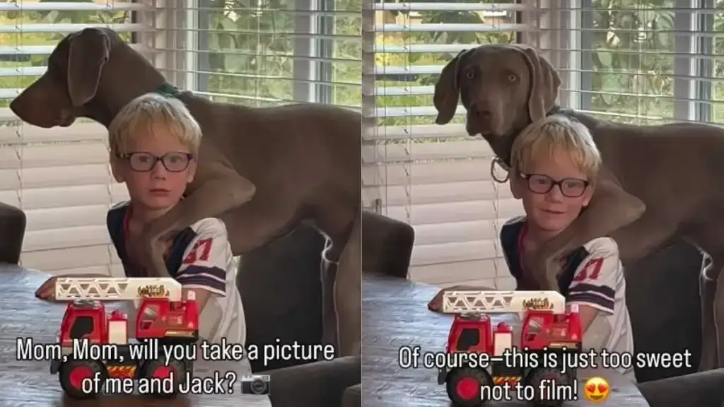 A Heartwarming Bond Between a Young Boy and His Loyal Canine Companion