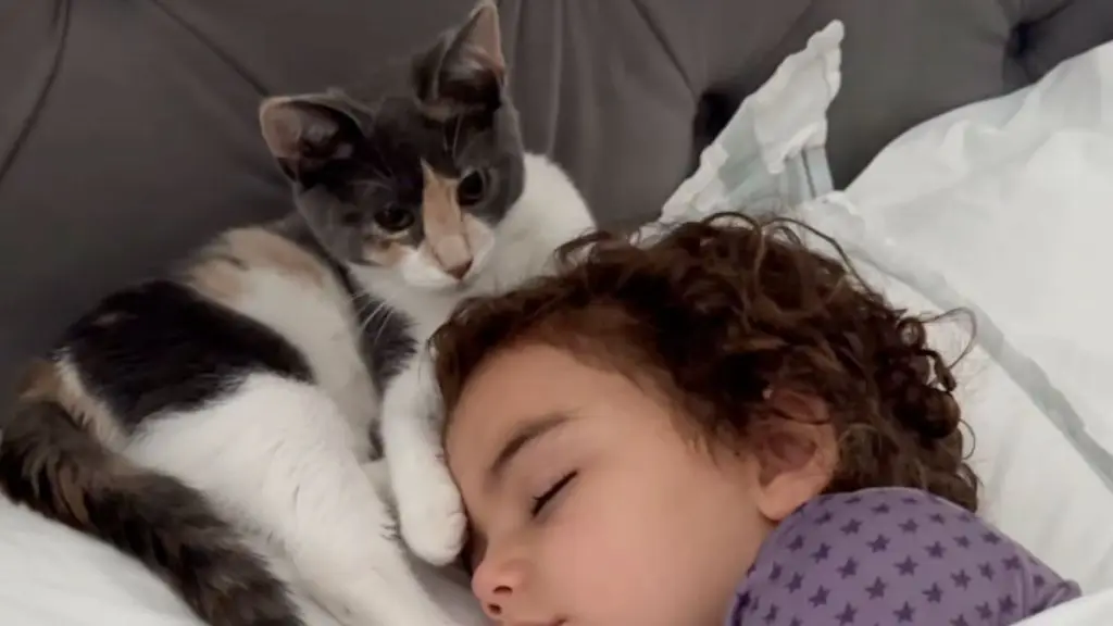 The Girl Who Saved a Kitten