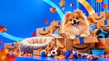 Prime Big Deal Days 2026: Early Dog Deals for Fall