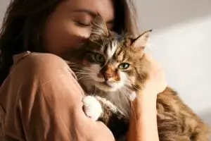 America’s Most ‘Cat-Obsessed’ State Isn’t the One You’d Expect