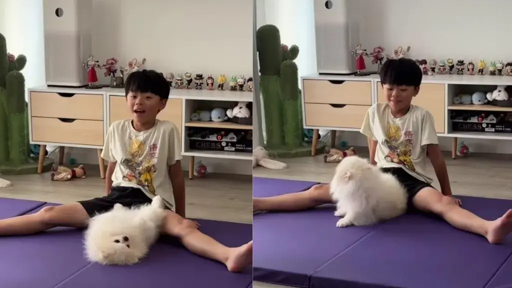 Boy Adjusts Workout to Let Dog Stretch on Mat