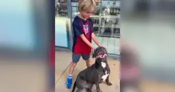 Boy Convinces Parents to Adopt Lonely Dog Found at Gas Station