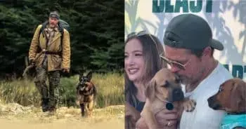 Brad Pitt Shares News of Growing Dog Family at Film Premiere
