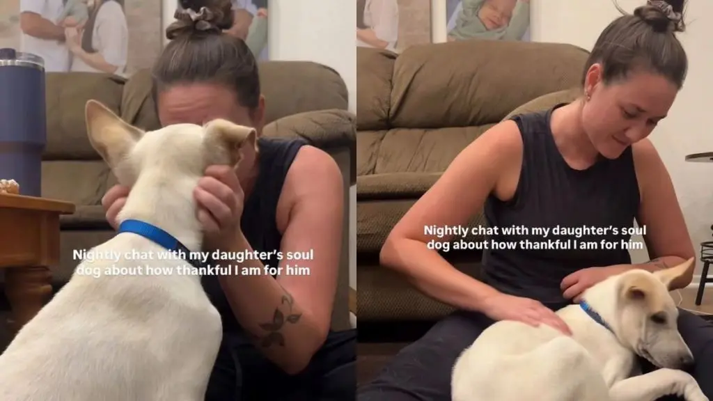 A Rescue Dog Earns Nightly Gratitude From His Human Family