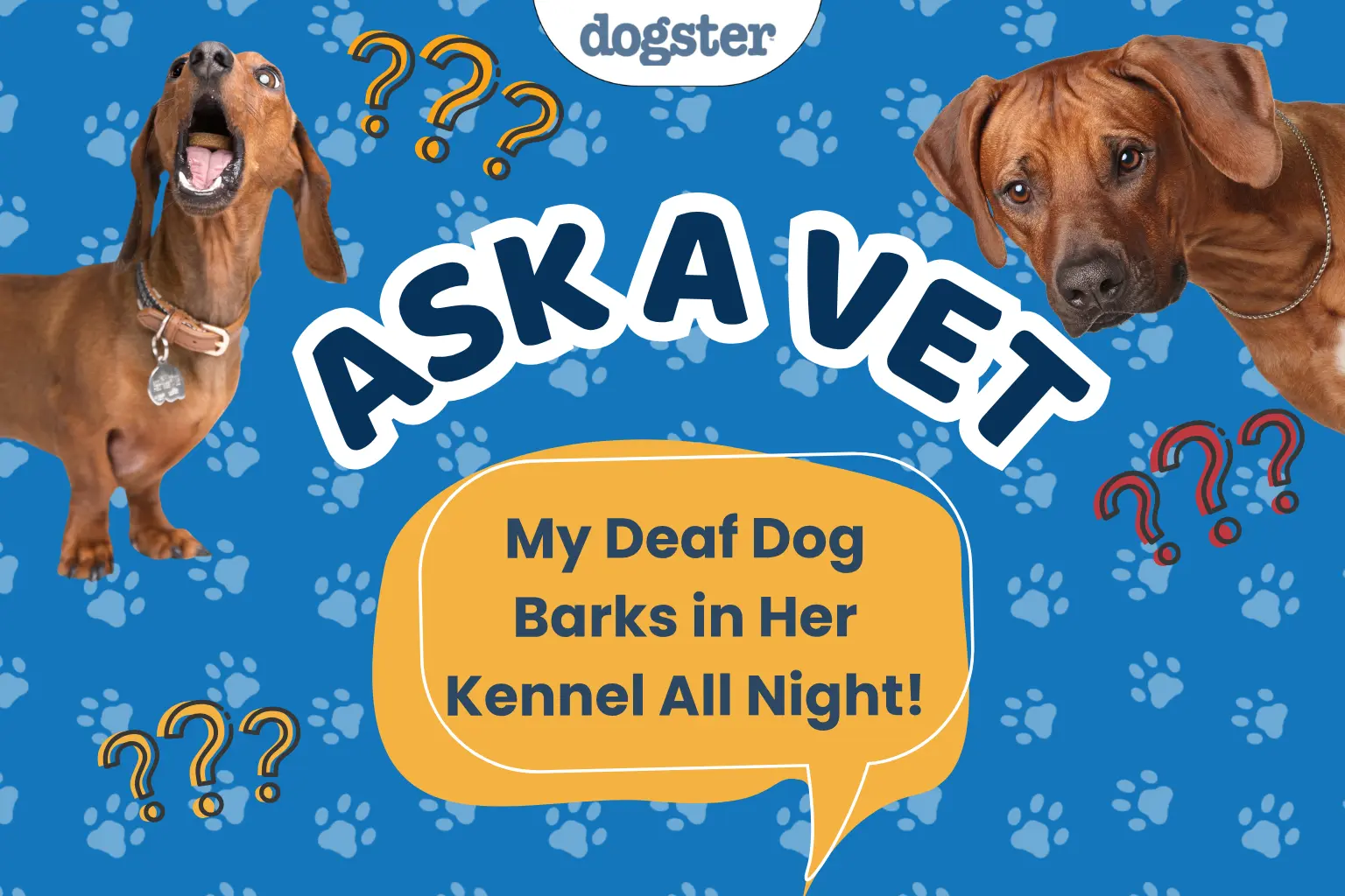 Veterinarian Advice: Helping a Deaf Dog Stop Nighttime Barking in the Kennel