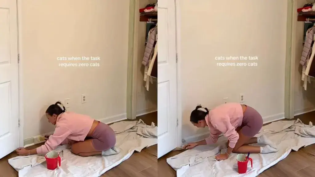 Cat Interrupts Baseboard Painting With Paw Under Door