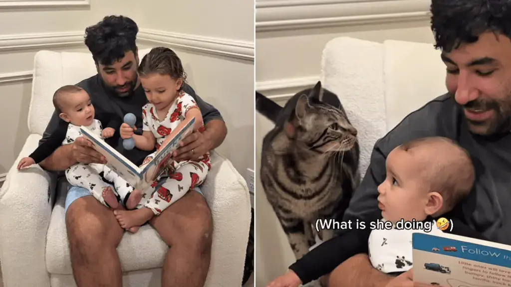 Cat Joins Dad & His Tiny Humans for Story Time Like He’s One of the Kids