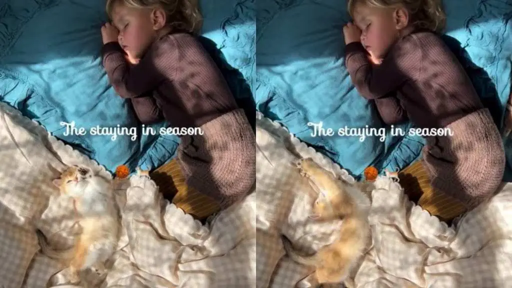 Cat Stretches Beside Tiny Human as a Little Sunshine Makes Their Cozy Spot Even Better