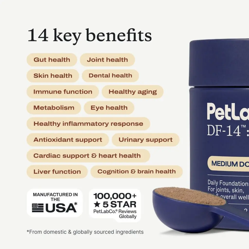 Best All-Round Supplement For Dogs