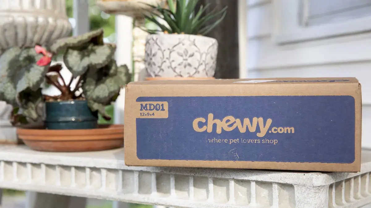 Chewy’s Cat-Shaped Shelves Transform Blank Walls into Feline Play Zones