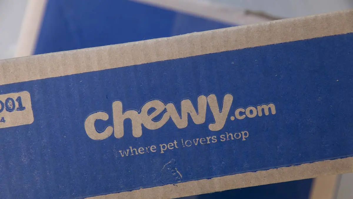 Chewy Launches Heated Cat Bed to Keep Felines Warm on Chilly Days