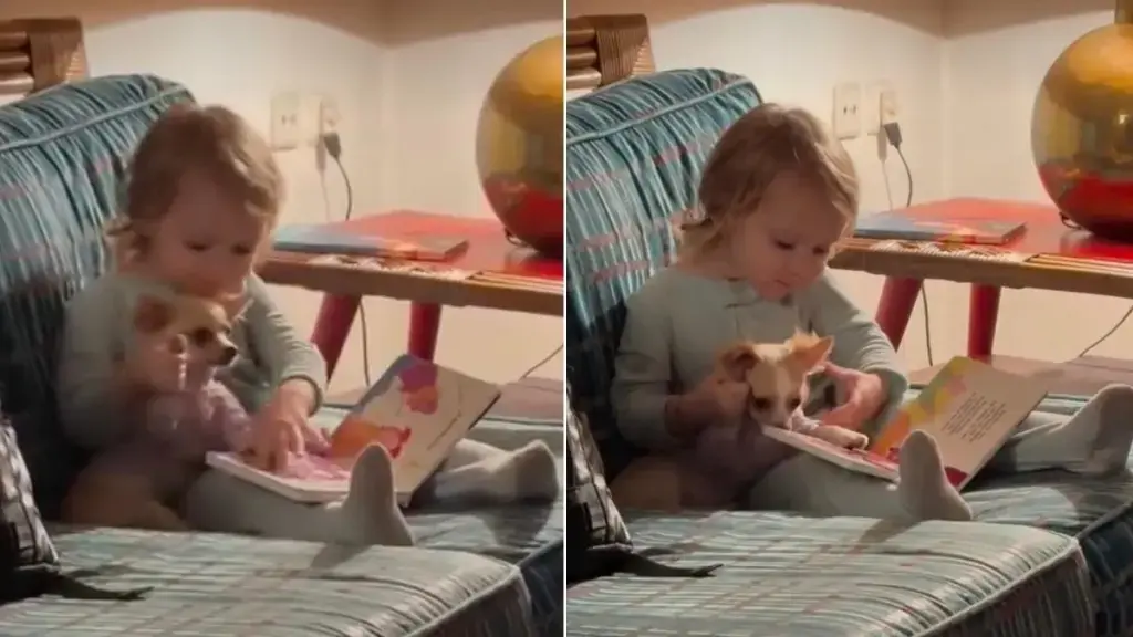 Tiny Reader Gets Dedicated Help From Loyal Canine Assistant
