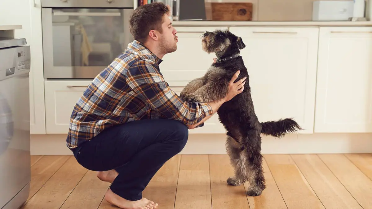 Why We Talk to Our Dogs in a Baby Voice