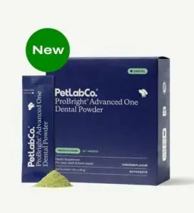 Do Dental Powders for Dogs Actually Work?