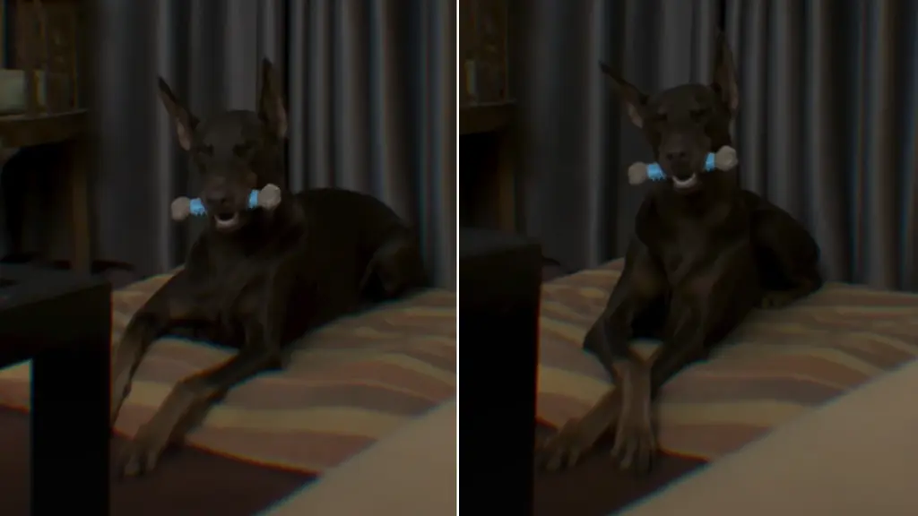 Doberman Finds Unusual Way To Snuggle With Favorite Toy