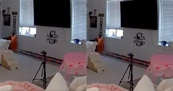 Dog Learns to Text Mom Using Voice Buttons