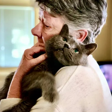 Pets for the Elderly: Helping Seniors Find Feline Companionship
