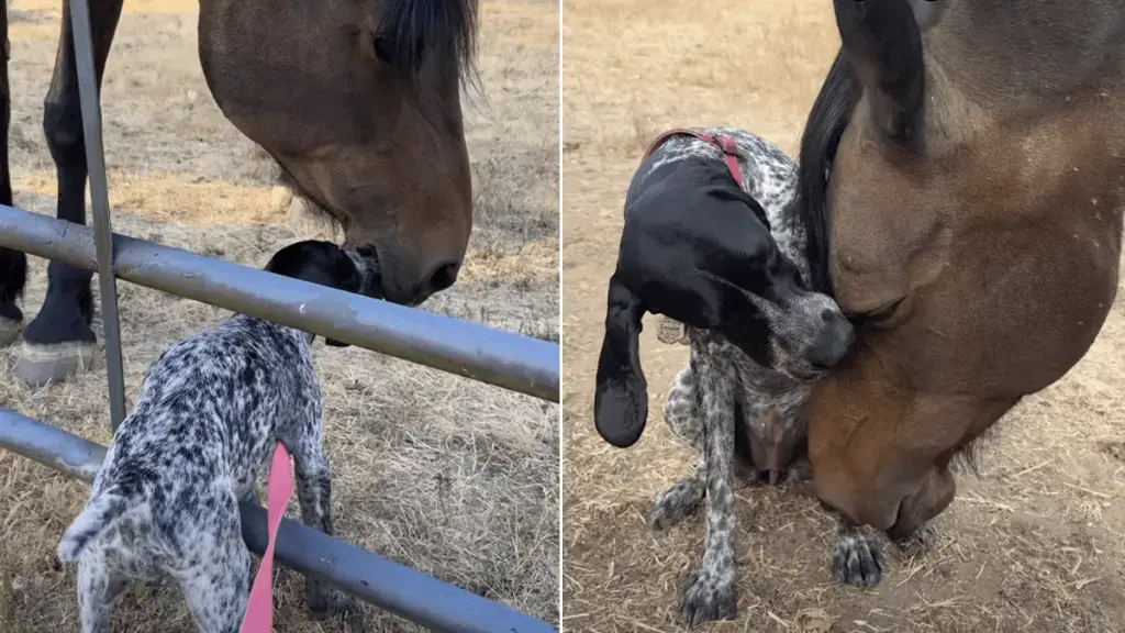 Fennie Loo and Athena Share a Growing Bond