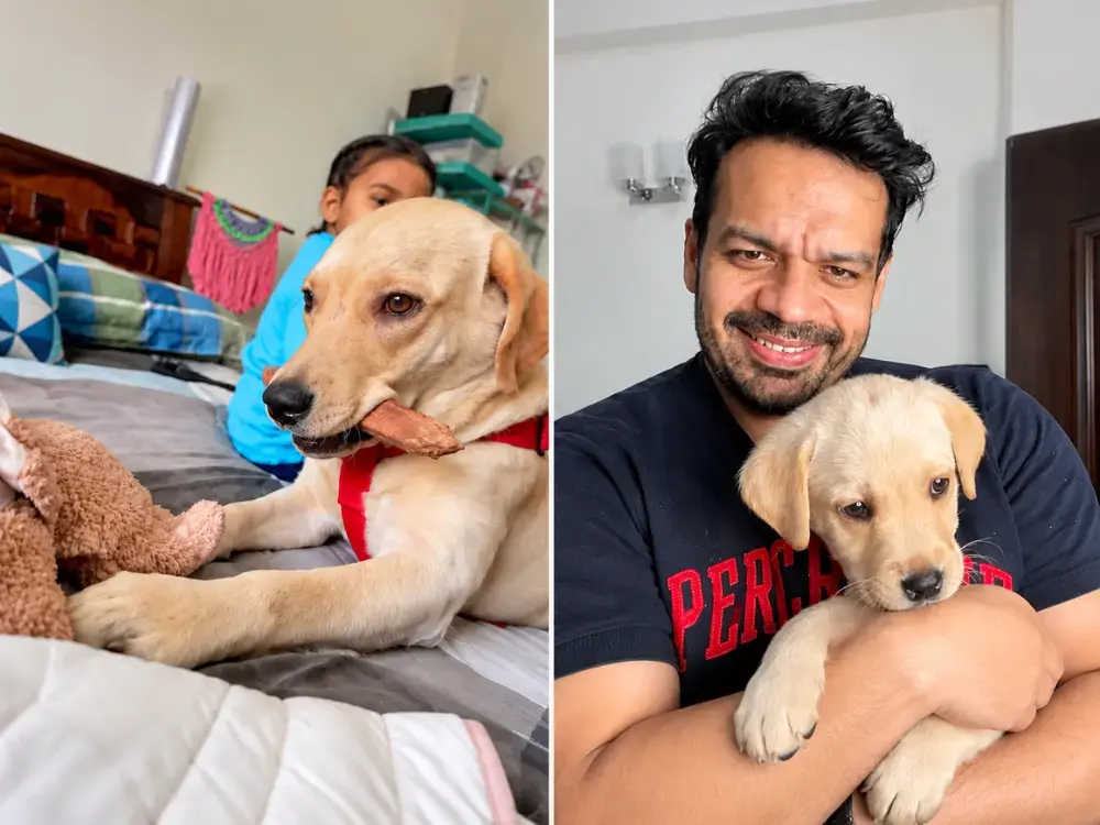 Flying Beast’s Dog Mau Dies, Sparking Blame Game Over Farmhouse