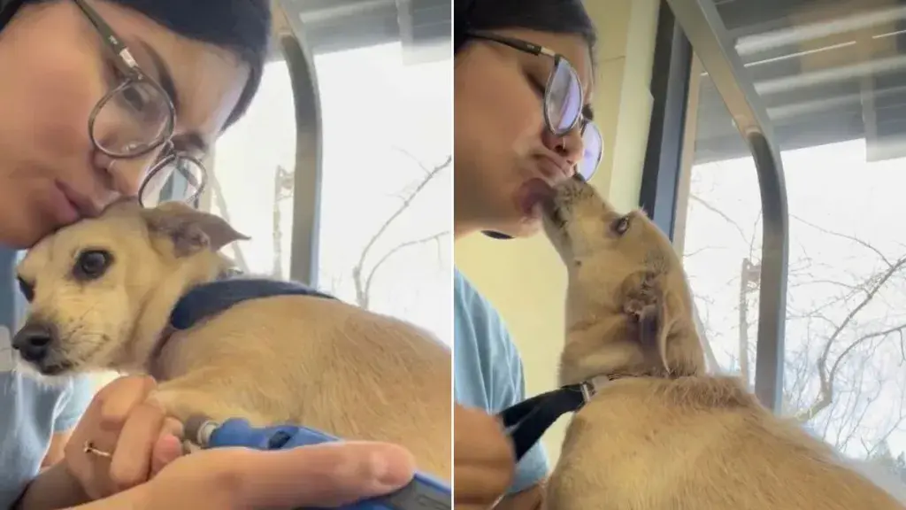 Gentle Kisses Transform Nail Trim Anxiety for Nervous Dog