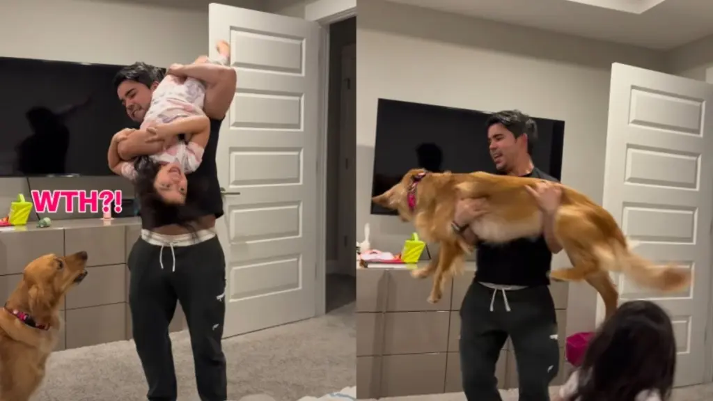 Golden Retriever’s Deadpan Reaction to Being Swung Around Goes Viral