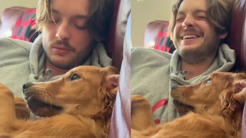 Golden Retriever's Dramatic Reaction to Dad's No Goes Viral