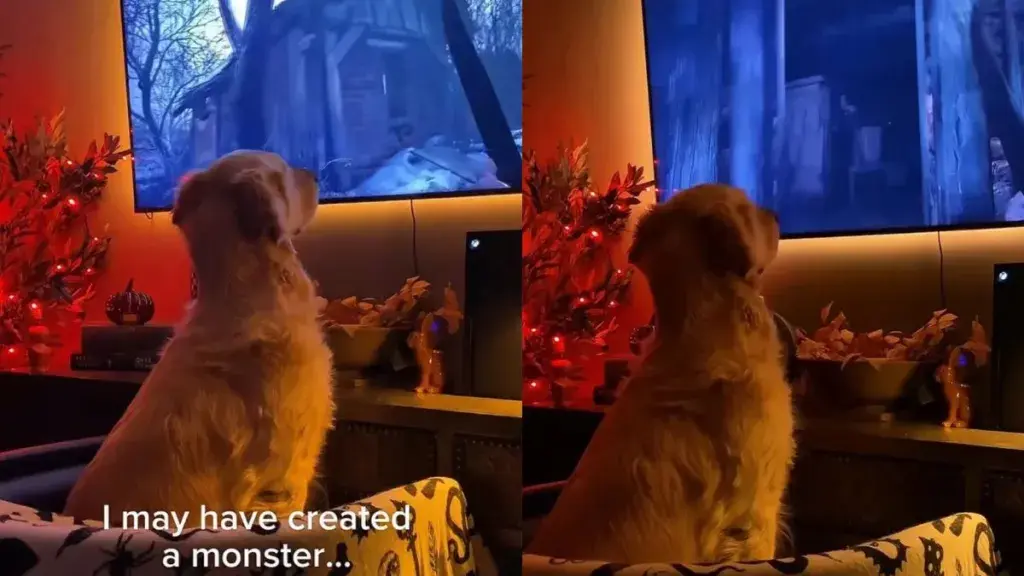 Golden Retriever's Tiny Head Twitches Turn Horror Game Into Nerve-Wracking Comedy