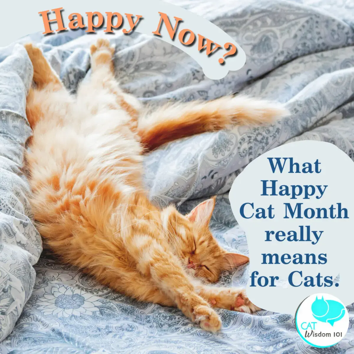 Happy Now? The Real Meaning Behind Happy Cat Month