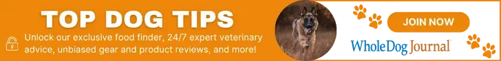 Choosing the Best Hard Dog Crate for Your Dog