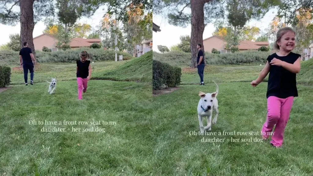 Heartwarming Video Captures Toddler and Dog Racing Through Park Together