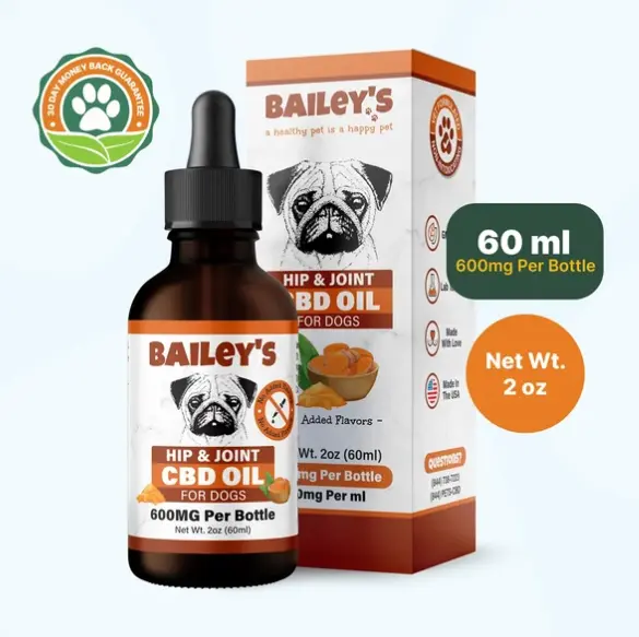 CBD Helps Aging Dogs Stay Mobile and Comfortable