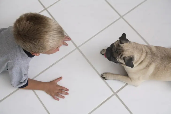 One in Three Families Find Puppy Ownership More Difficult Than Anticipated
