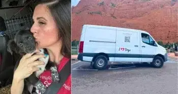 Little Black Dog Drives iHeartDogs Rescue Road Trips In Rural Texas