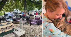 Local Heroes and iHeartCats VIPs Rescue Hundreds of Shelter Animals from Flood Threat