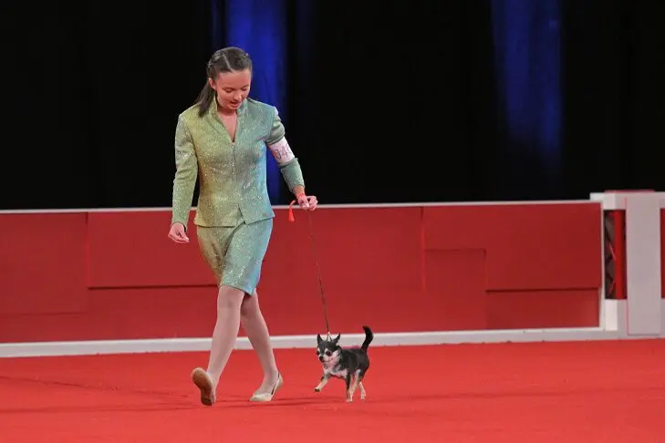 Life After Juniors: Marilyn Dempsey Moves From Show Ring to Judge’s Bench