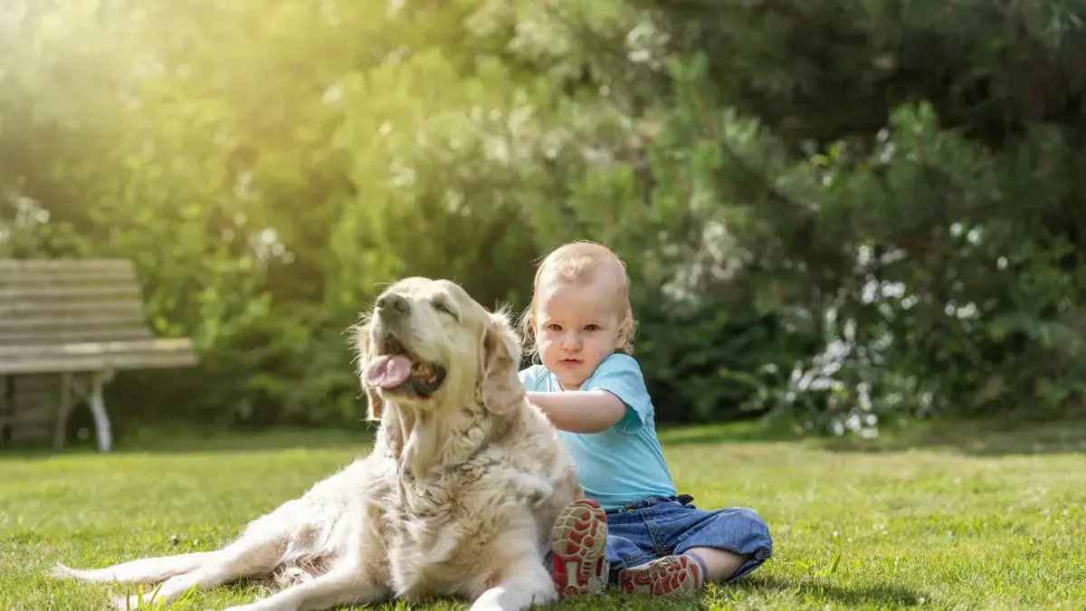 Mom Captures Unexpected Twist in Son and Dog Video